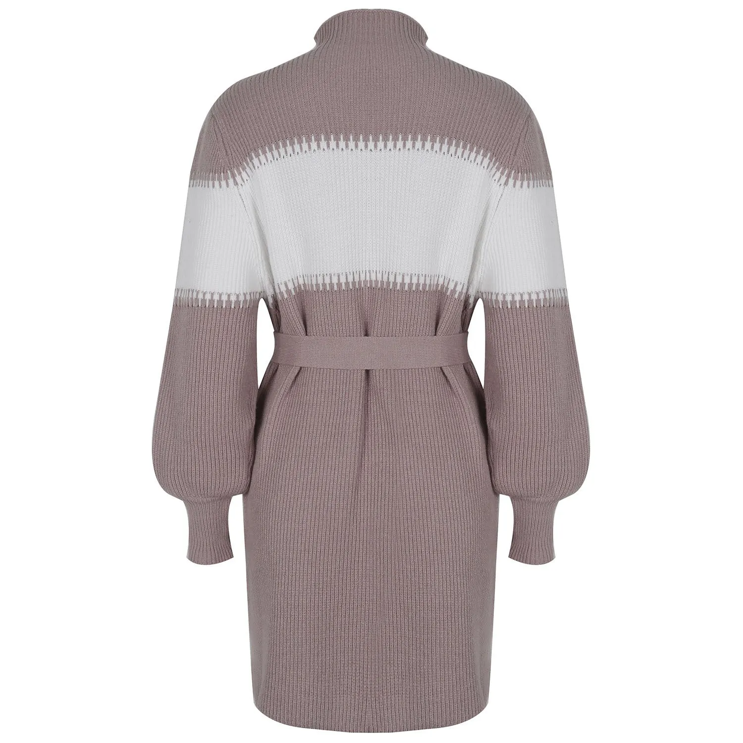 High Collar Lantern Sleeve Contrast Color Sweater Knit Mini Dress