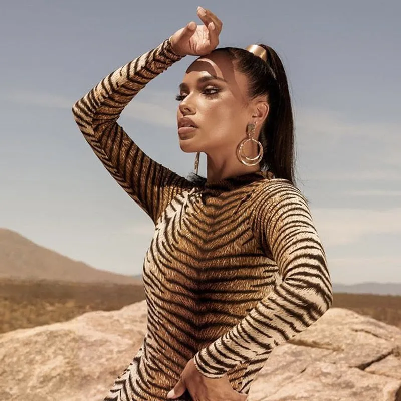 Leopard Print Long Sleeve Slim Sexy Dress