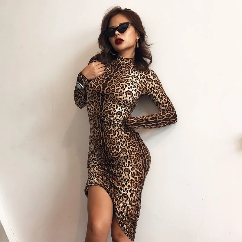 Leopard Print Long Sleeve Slim Sexy Dress